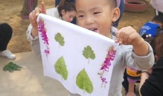 石家庄外国语幼儿园